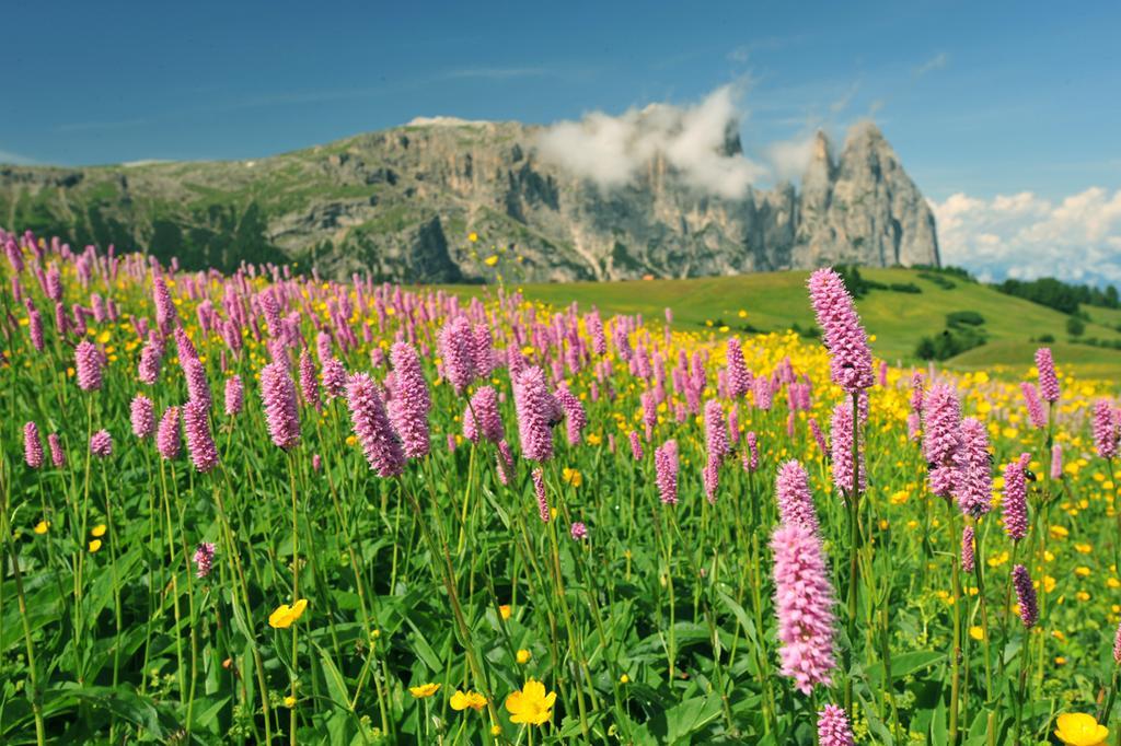 Garni Alpin Hotel Сиуси Екстериор снимка